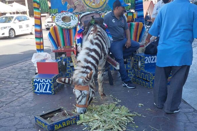 Tijuana & Rosarito Tour/The Best Tacos El Yaqui - Cancellation and Confirmation