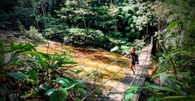 Tijuca Forest: Adventure & History Half-Day Hike - Tour Highlights