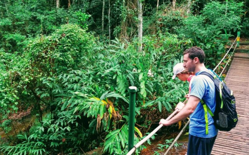 Tijuca Forest: Adventure & History Half-Day Hike - Tour Inclusions