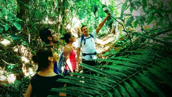 Tijuca Forest: Adventure & History Half-Day Hike - Frequently Asked Questions