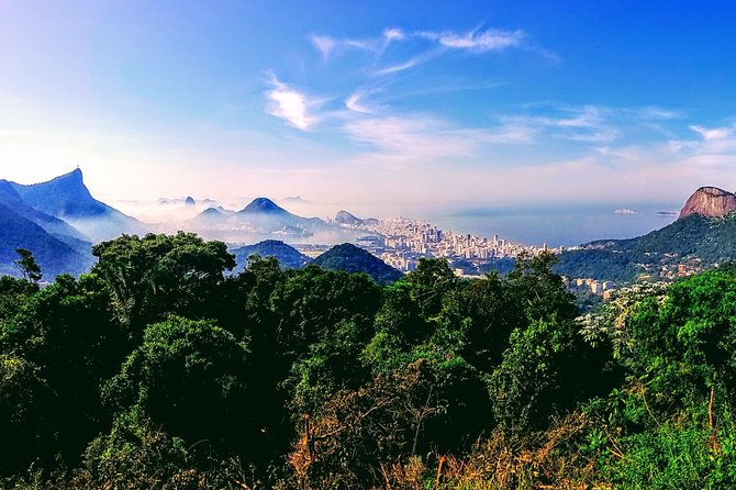 Tijuca Forest Challenge Full-Day Hike (Small-Group or Private) - Meeting Point and Transport