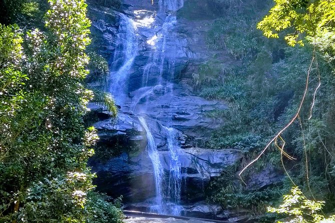 Tijuca Forest National Park - Meeting Information