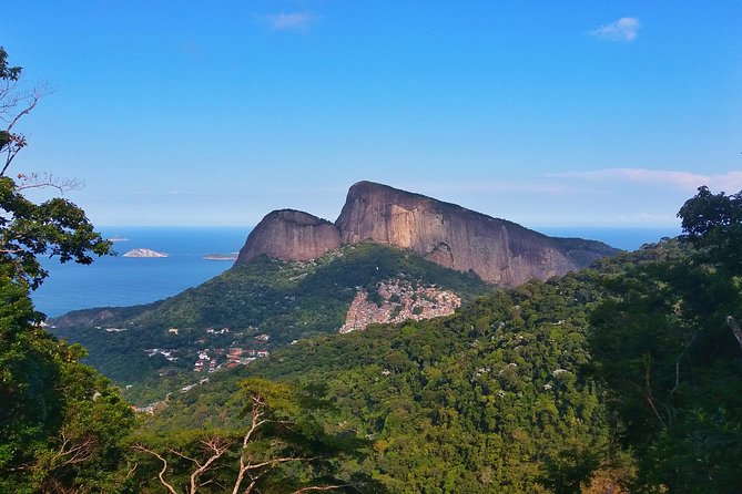 Tijuca Forest Trail Running Tour - Highlights and Experiences