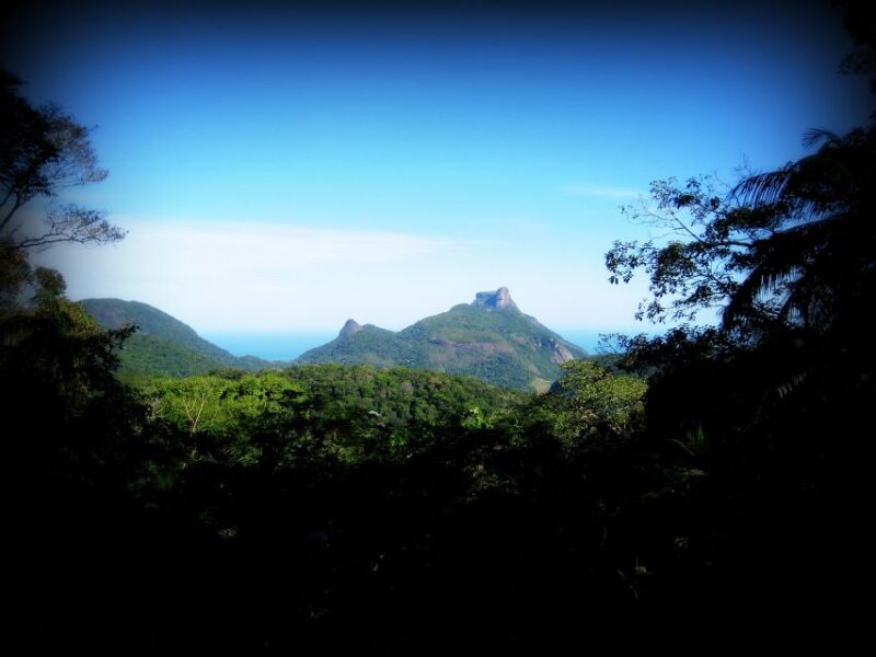 Tijuca Forest's Hike: Caves, Waterfalls and Great Views - Key Points