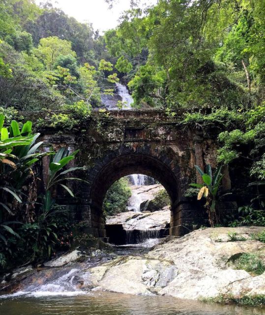 Tijuca Forest's Hike: Caves, Waterfalls and Great Views - Guided Tour Through the Forest