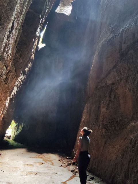 Tijuca Forest's Hike: Caves, Waterfalls and Great Views - Hiking Through the Atlantic Forest