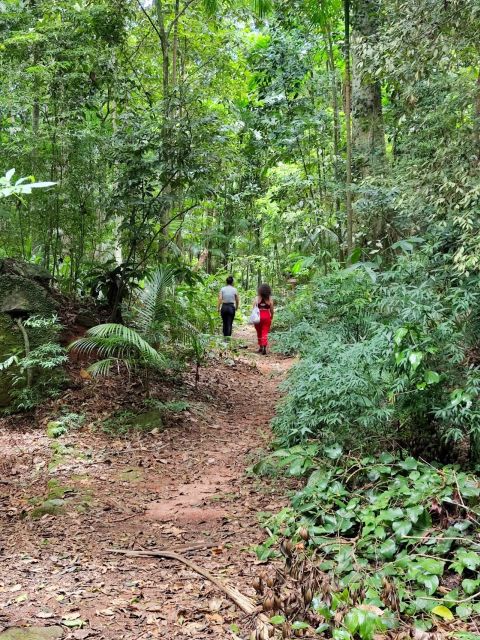 Tijuca Forest's Hike: Caves, Waterfalls and Great Views - Exploring Ruins and Caves