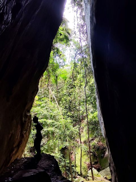 Tijuca Forest's Hike: Caves, Waterfalls and Great Views - Frequently Asked Questions