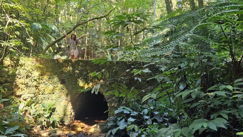 Tijuca National Park and All Its Wonders! - Historical Landmarks