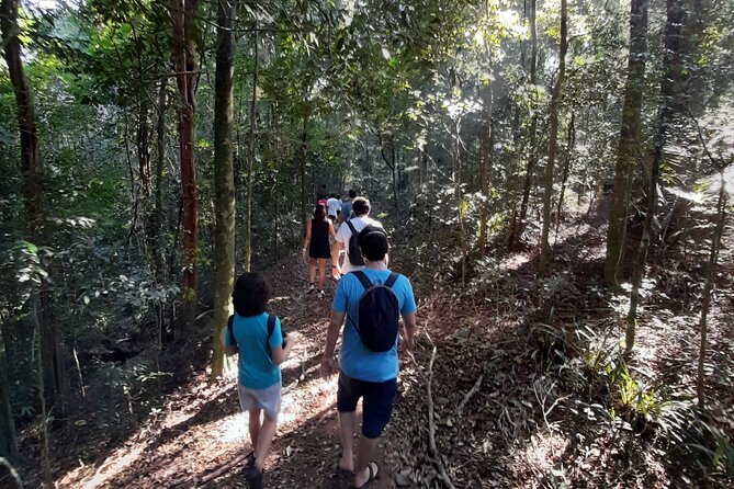 Tijuca National Park and All Its Wonders - Guided by Experienced Professionals