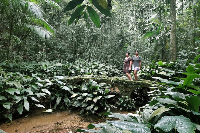 Tijuca National Park and All Its Wonders - Personalized Tour for Fitness Levels