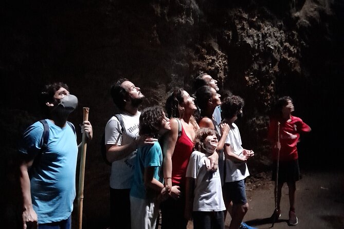 Tijuca National Park and All Its Wonders - Traveler Experiences and Testimonials