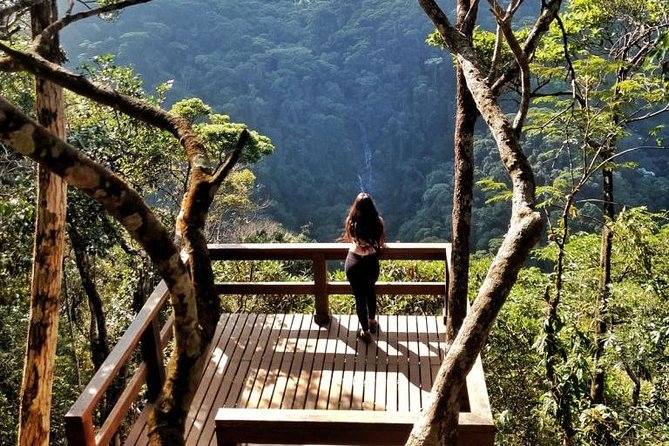Tijuca National Park and Botanic Garden Guided Tour & Transfer - Exploring Tijuca National Park