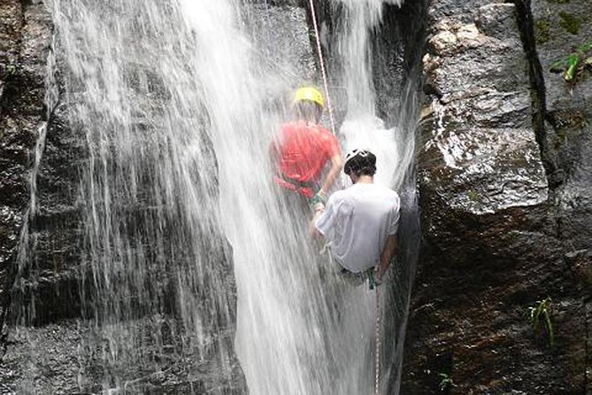 Tijuca National Park Hike and Waterfall Rappelling - Meeting and Pickup Details