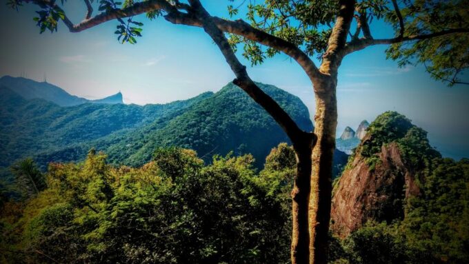Tijuca National Park Small-Group Hike to Pedra Bonita - Booking and Inquiries