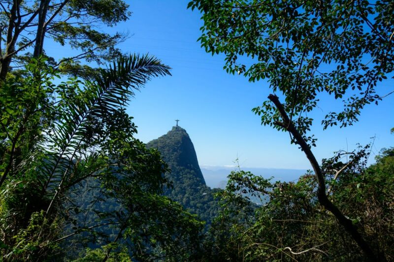 Tijuca National Park With a Photographer - Breathtaking Vistas of Rio De Janeiro