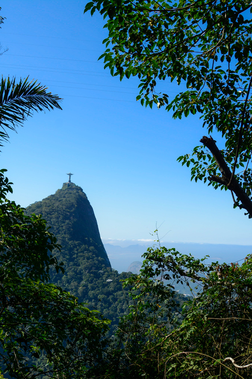 Tijuca National Park With a Photographer - Convenient Hotel Pickup and Dropoff