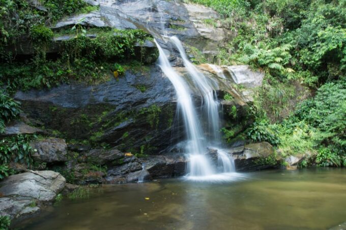 Tijuca National Park With a Photographer - Frequently Asked Questions