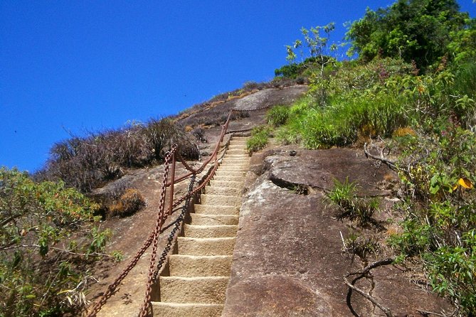 Tijuca Peak Hiking Tour & Taunay Waterfall - Rio De Janeiro - Hiking Trail Highlights
