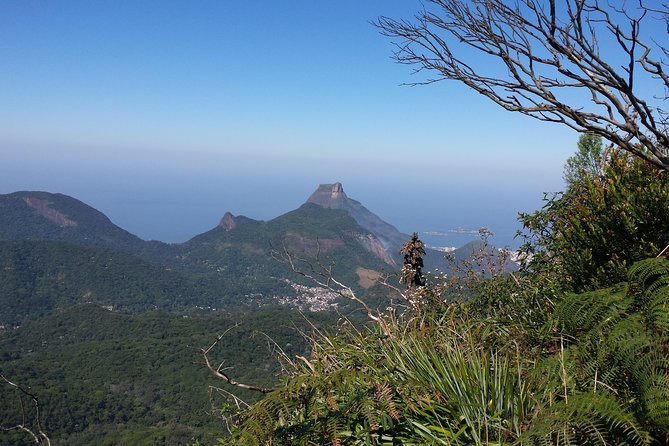 Tijuca Peak Hiking Tour & Taunay Waterfall - Rio De Janeiro - Health and Safety Considerations
