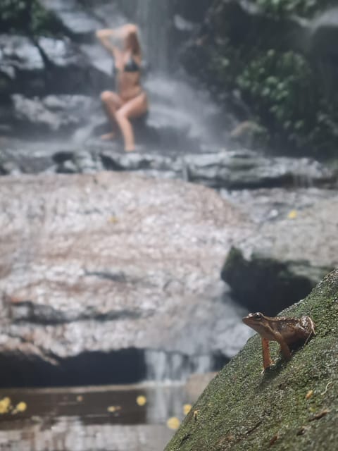 Tijuca Rain Forest - Adventure Through Waterfalls & Caves - Frequently Asked Questions