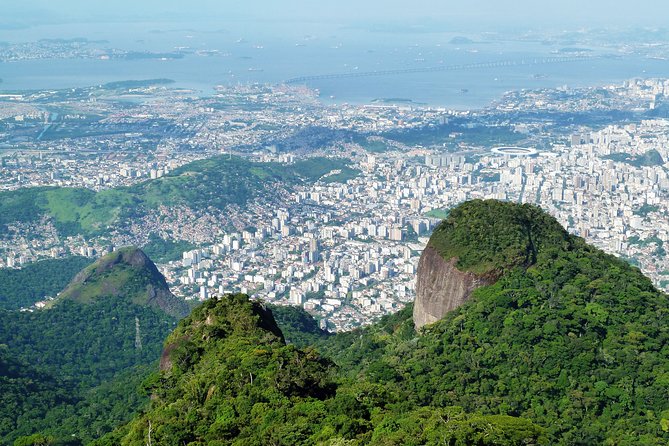 Tijuca Rainforest Hiking Tour in Rio De Janeiro - Reviews and Feedback