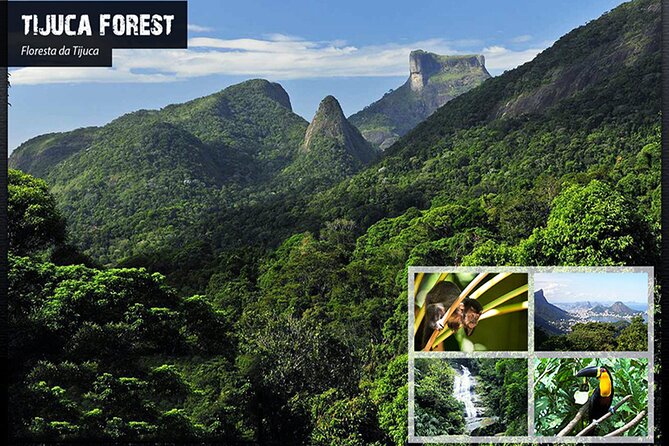 Tijucas National Park - Eco Hiking Tour - Hiking Through the UNESCO Rainforest