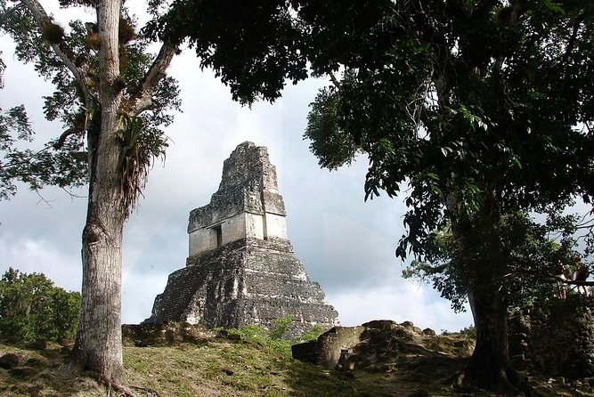 Tikal and Yaxha Exclusive Private Tour From Flores - Tikal National Park