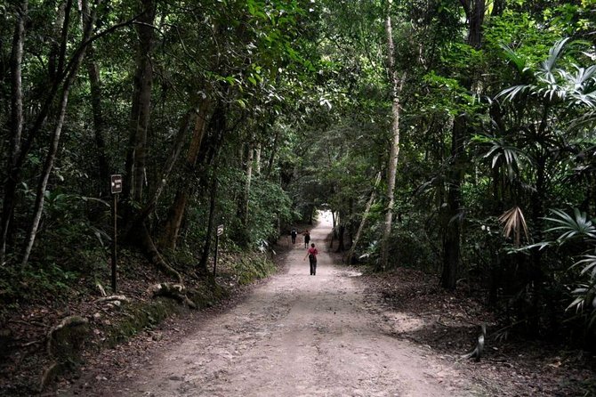 Tikal and Yaxha Exclusive Private Tour From Flores - Accessibility and Fitness