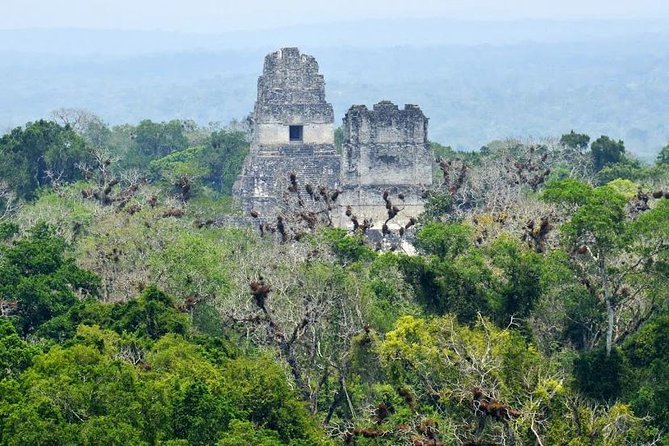 Tikal Day Trip by Air From Guatemala City With Lunch - Highlights of Tikal