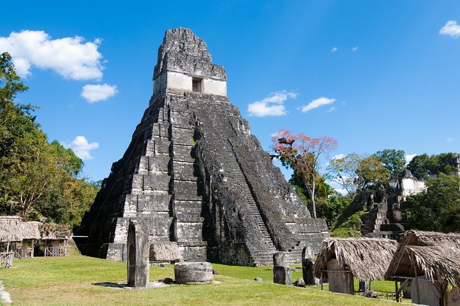 Tikal Day Trip With Local Lunch From San Ignacio - Dining and Refreshments