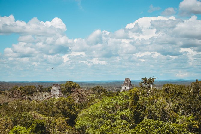 Tikal Exclusive Tour - Tour Features