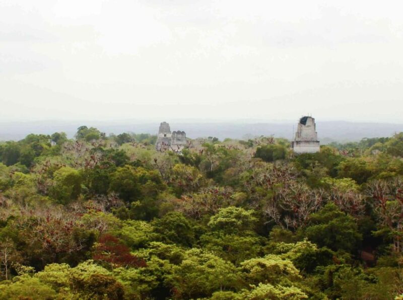 Tikal Experience: Exclusive Tour - Booking Information