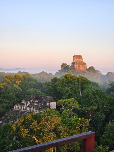 Tikal From Flores or Mundo Maya Airport - Tour Highlights