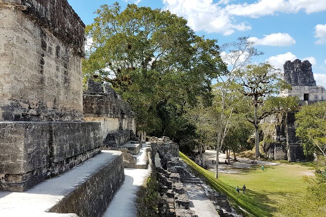 Tikal From Flores or Mundo Maya Airport With Transportation, Local Guide and Lunch - Inclusions and Requirements