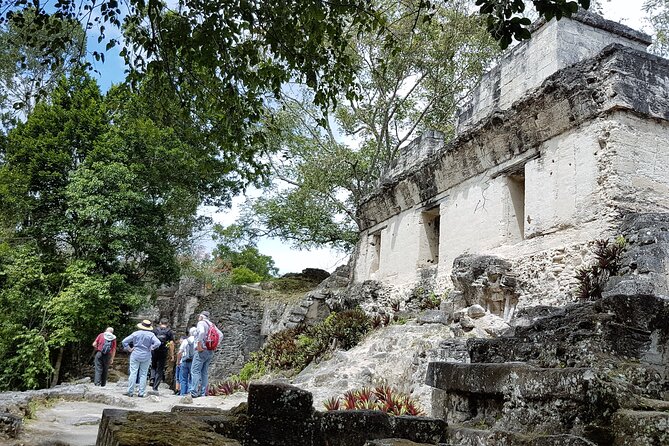 Tikal From Flores or Mundo Maya Airport With Transportation, Local Guide and Lunch - Exploring Tikals Highlights
