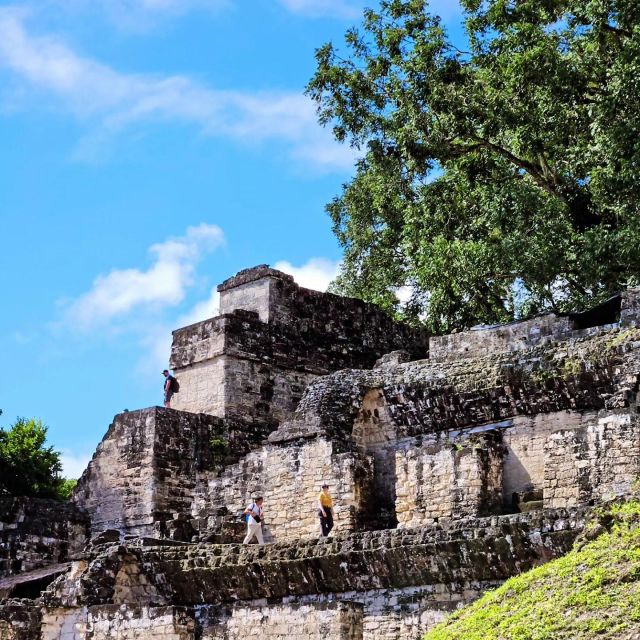 Tikal From Flores: With Transportation Lunch and Local Guide - Additional Information