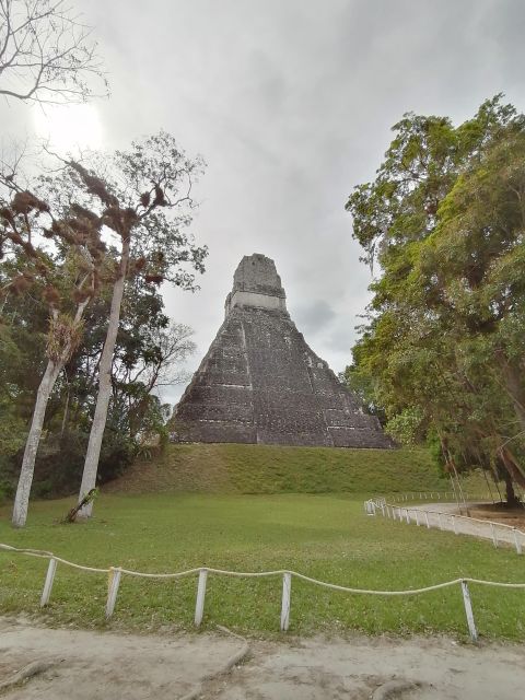 Tikal Guatemala - Customer Experience and Feedback