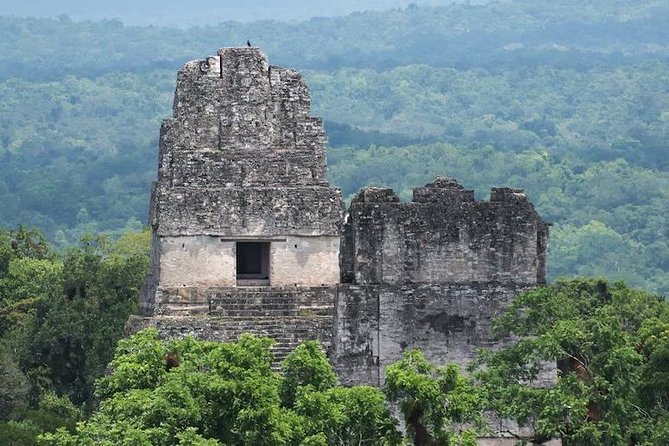 Tikal Mayan Adventure - 1 Day Tour - Key Points