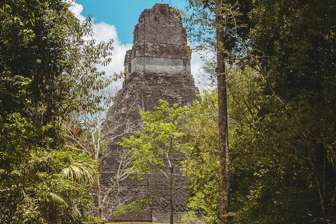 Tikal National Park Full-Day Guided Tour From Flores - Exploring Tikal