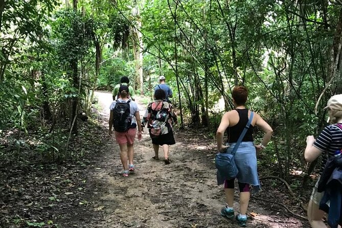 Tikal Private Day Tour Maya Adventure From Flores - Reviews and Guide Experience