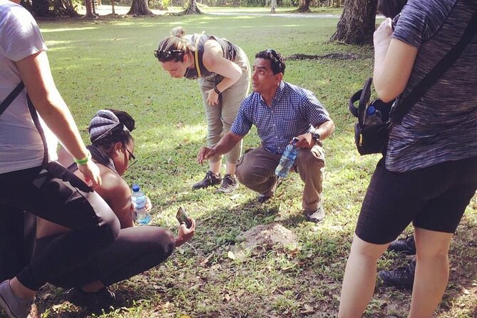 Tikal Private Day Tour Maya Adventure From Flores - Private Transportation and Convenience