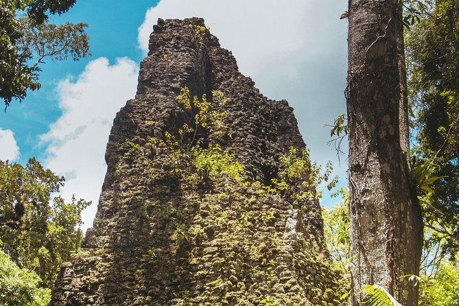 Tikal Small Group All Included From Flores - Guide Experience and Knowledge