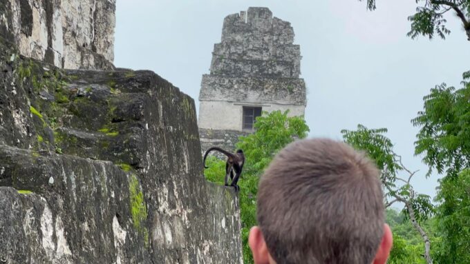 Tikal Sunrise, Archeological Focus and Wildlife Spotting - Exploring Tikals Architectural Wonders