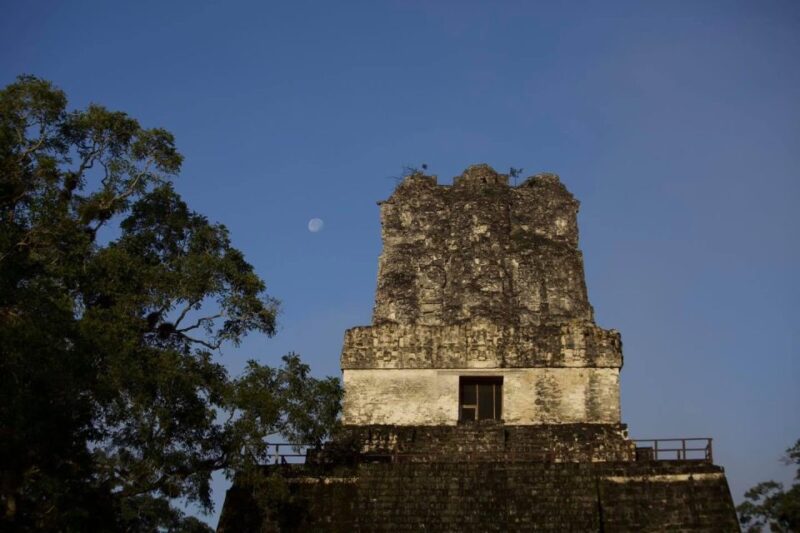 Tikal Tour With General Focus More Lunch and Local Guide - Location and Historical Significance