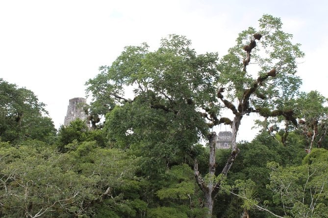 Tikal VIP Exclusive Full Day Tour From Belize Border - Guided Exploration