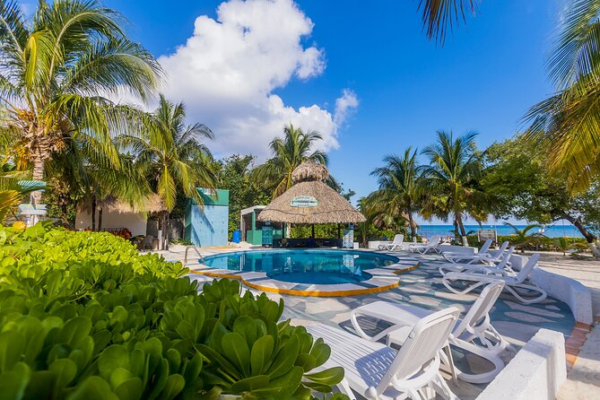 Tikinxic Barefoot Fish Guided Cookout Experience in Cozumel - Meeting and Pickup Details