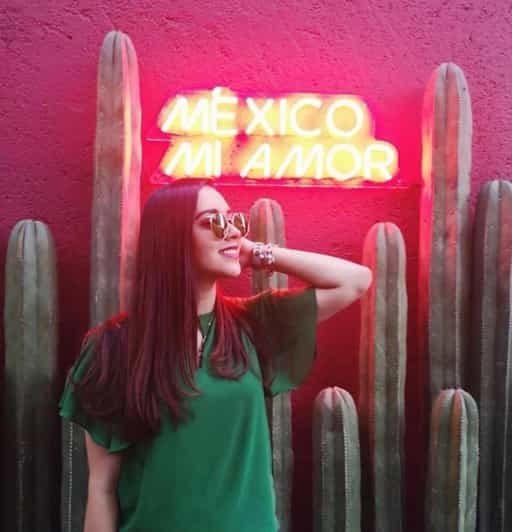 TikTok & Instagram Private Tour Mexico City in Deluxe Car - Pickup and Communication