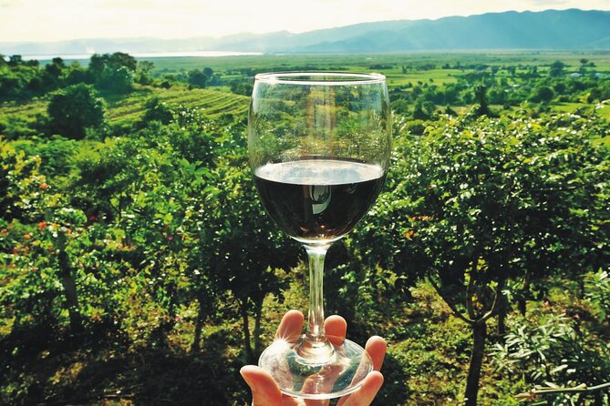 Tikvesh Wine Region - Key Points