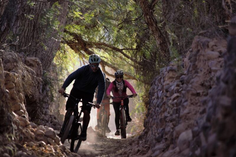 Tilcara: 2 Hours Cycling Tour Through the Rural Area - Cycling Experience Highlights